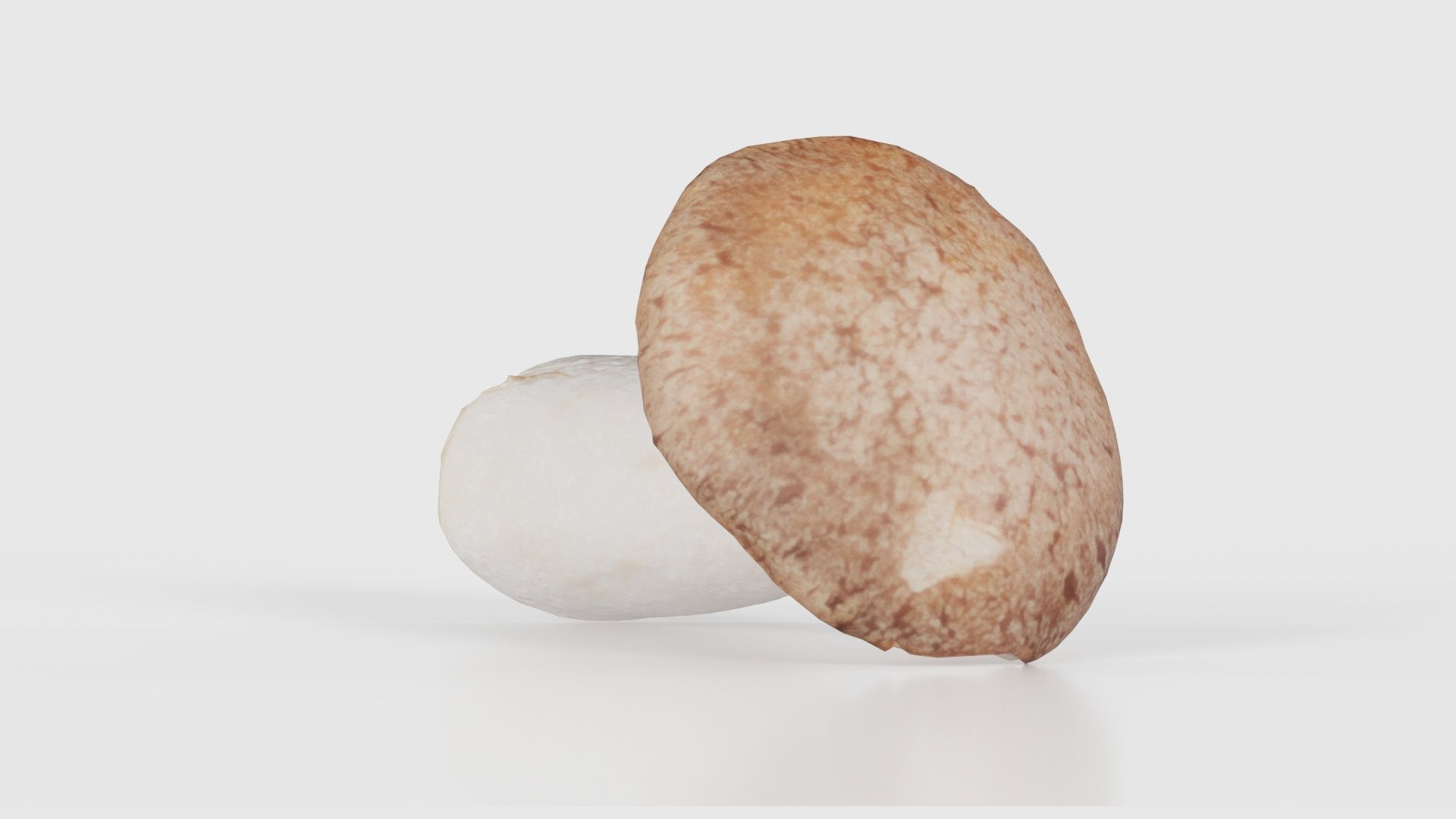 Mushroom Tall 2 Low-poly 3D model_24