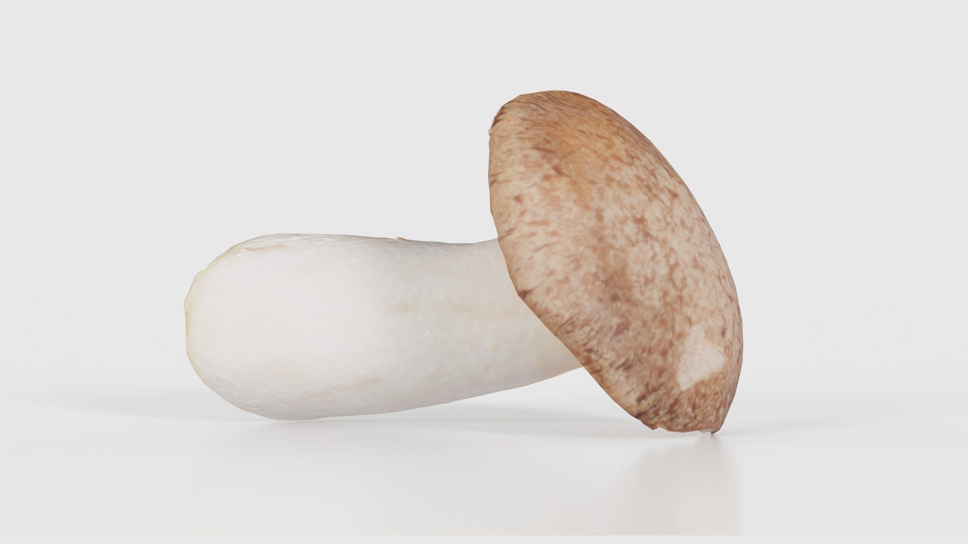 Mushroom Tall 2 Low-poly 3D model_25