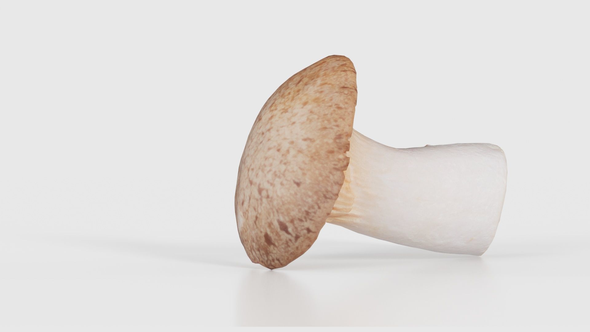 Mushroom Tall 2 Low-poly 3D model_21