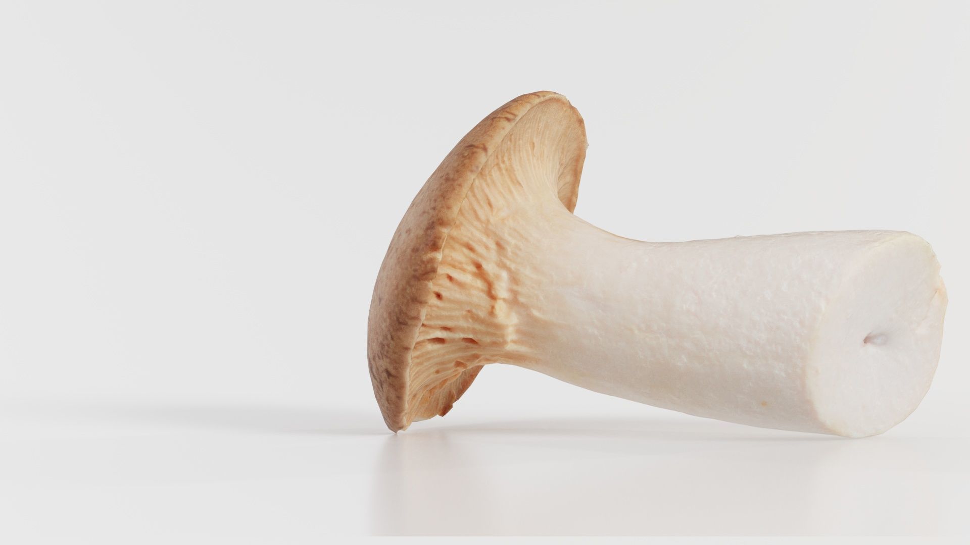 Mushroom Tall 2 Low-poly 3D model_2