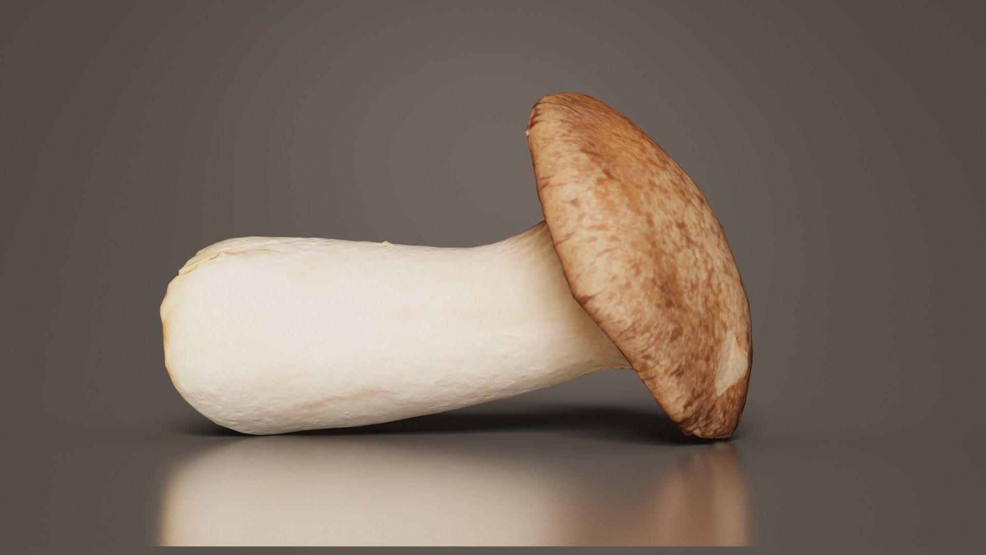 Mushroom Tall 2 Low-poly 3D model_4