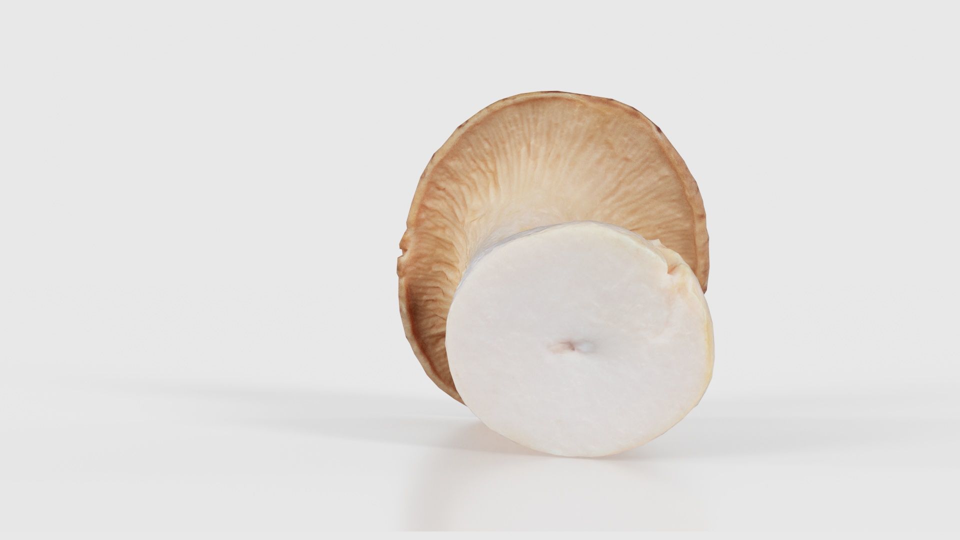 Mushroom Tall 2 Low-poly 3D model_17