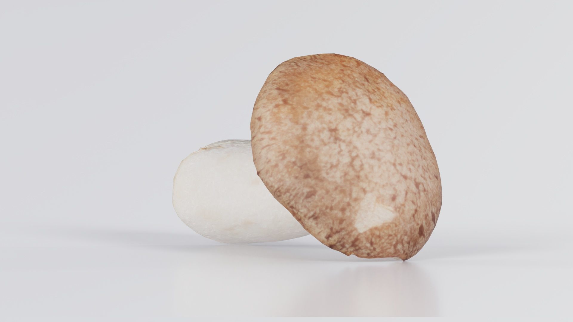 Mushroom Tall 2 Low-poly 3D model_5