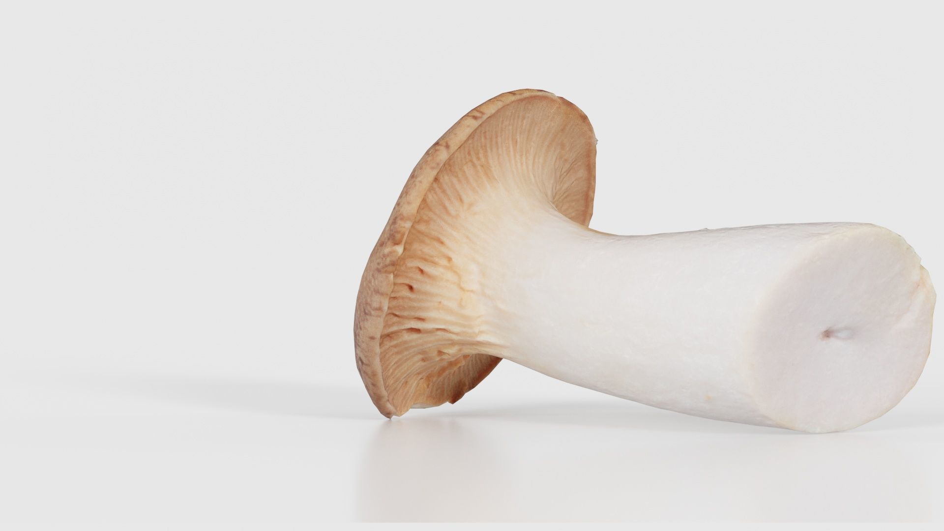 Mushroom Tall 2 Low-poly 3D model_19