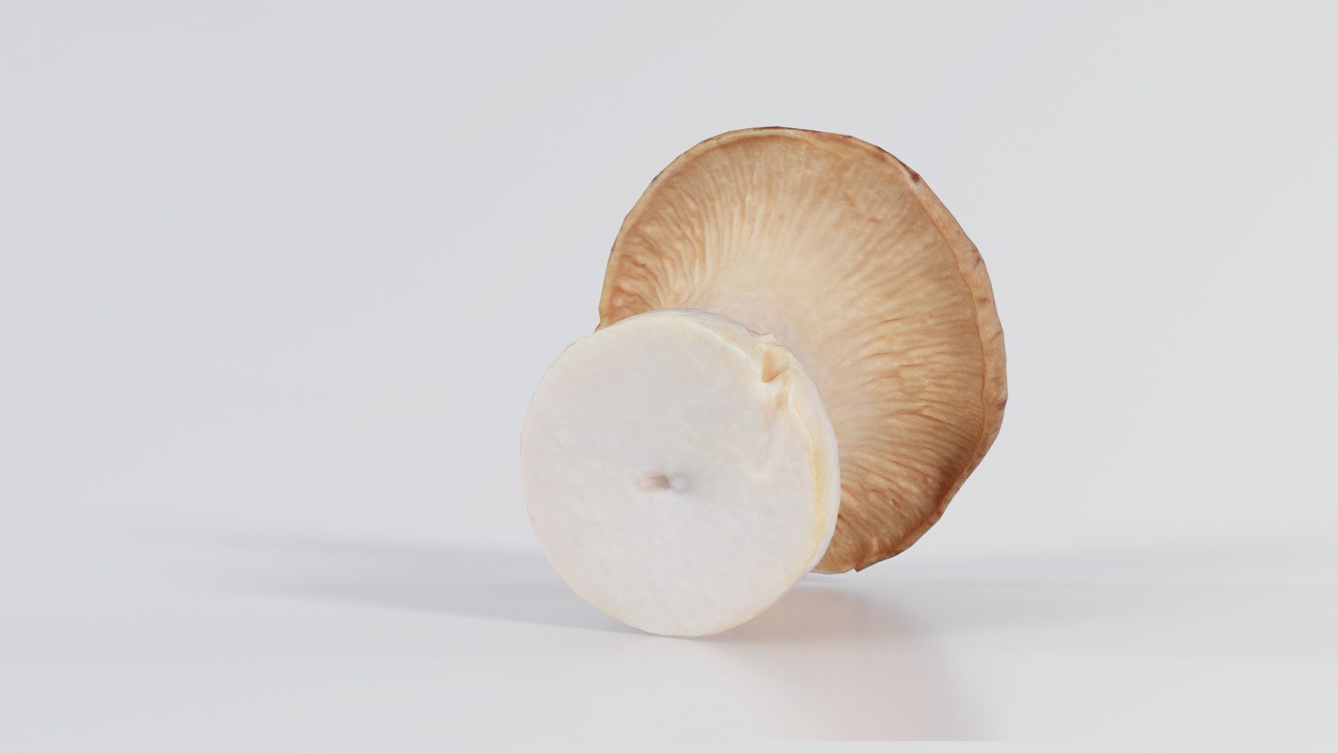 Mushroom Tall 2 Low-poly 3D model_8