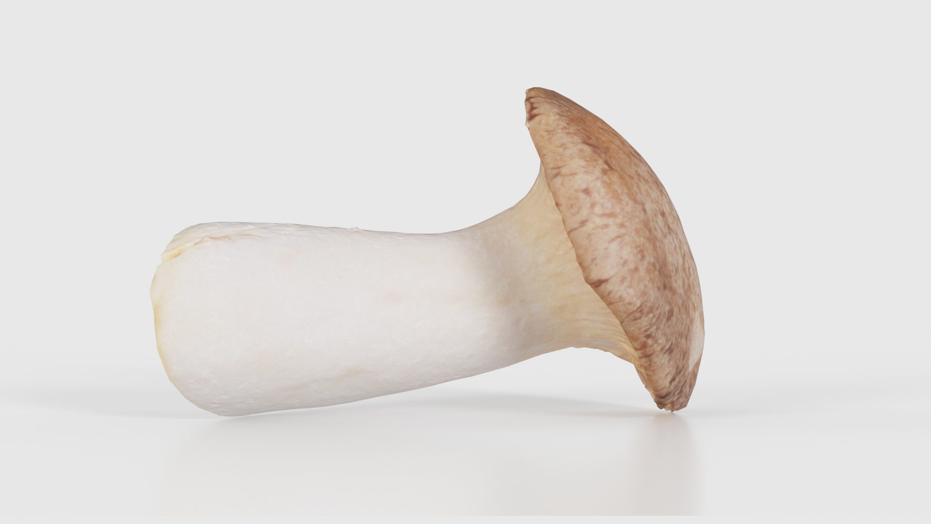 Mushroom Tall 2 Low-poly 3D model_26