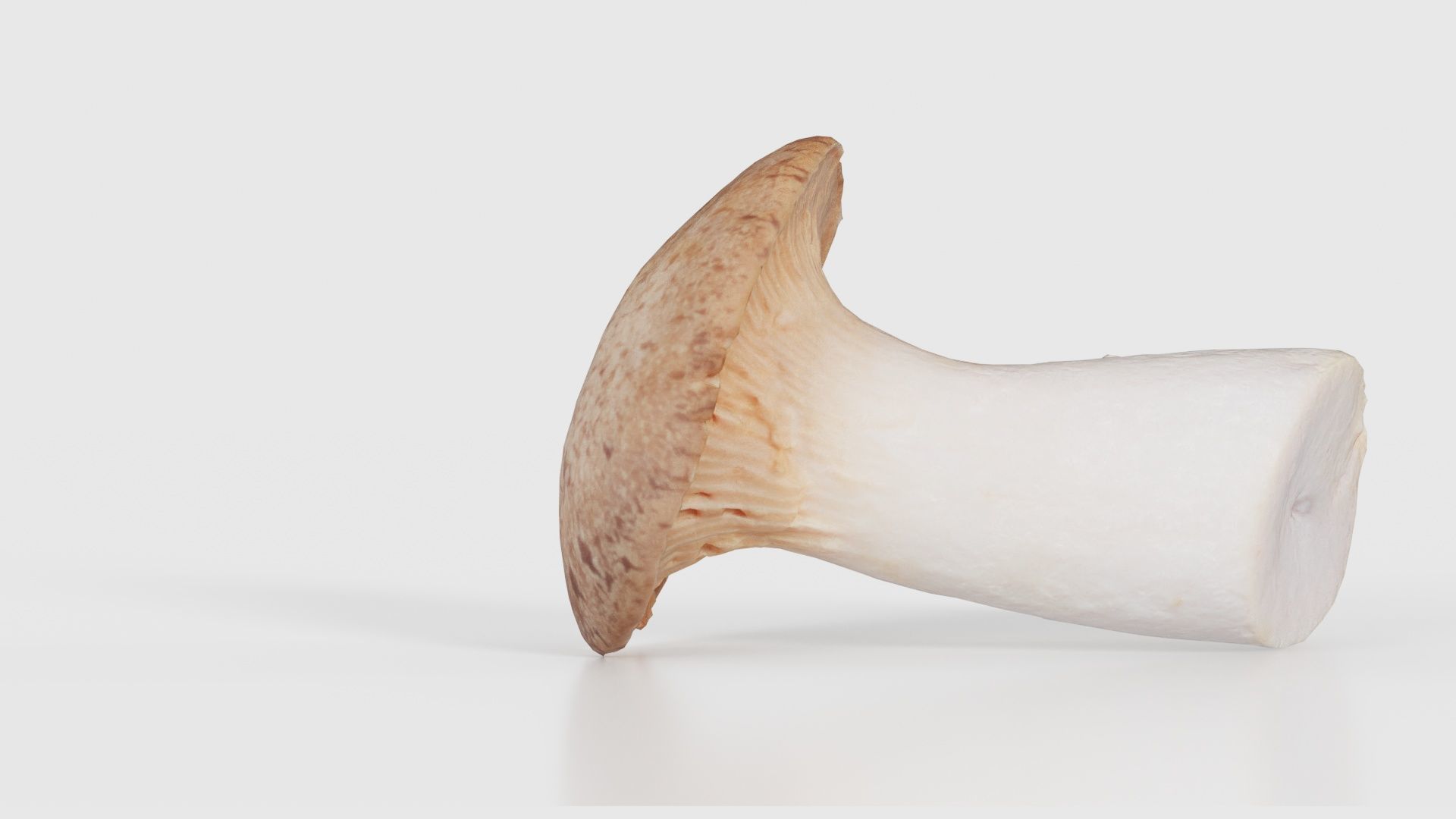 Mushroom Tall 2 Low-poly 3D model_20