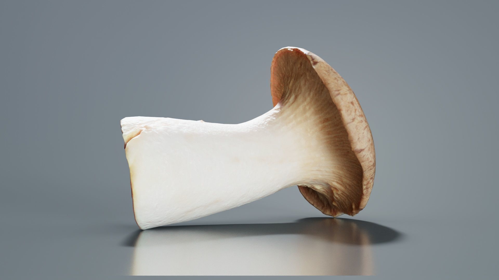 Mushroom Tall 2 Low-poly 3D model_7