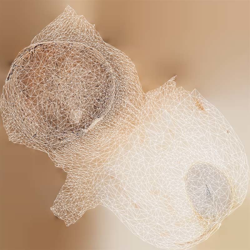 Mushroom Tall 2 Low-poly 3D model_14