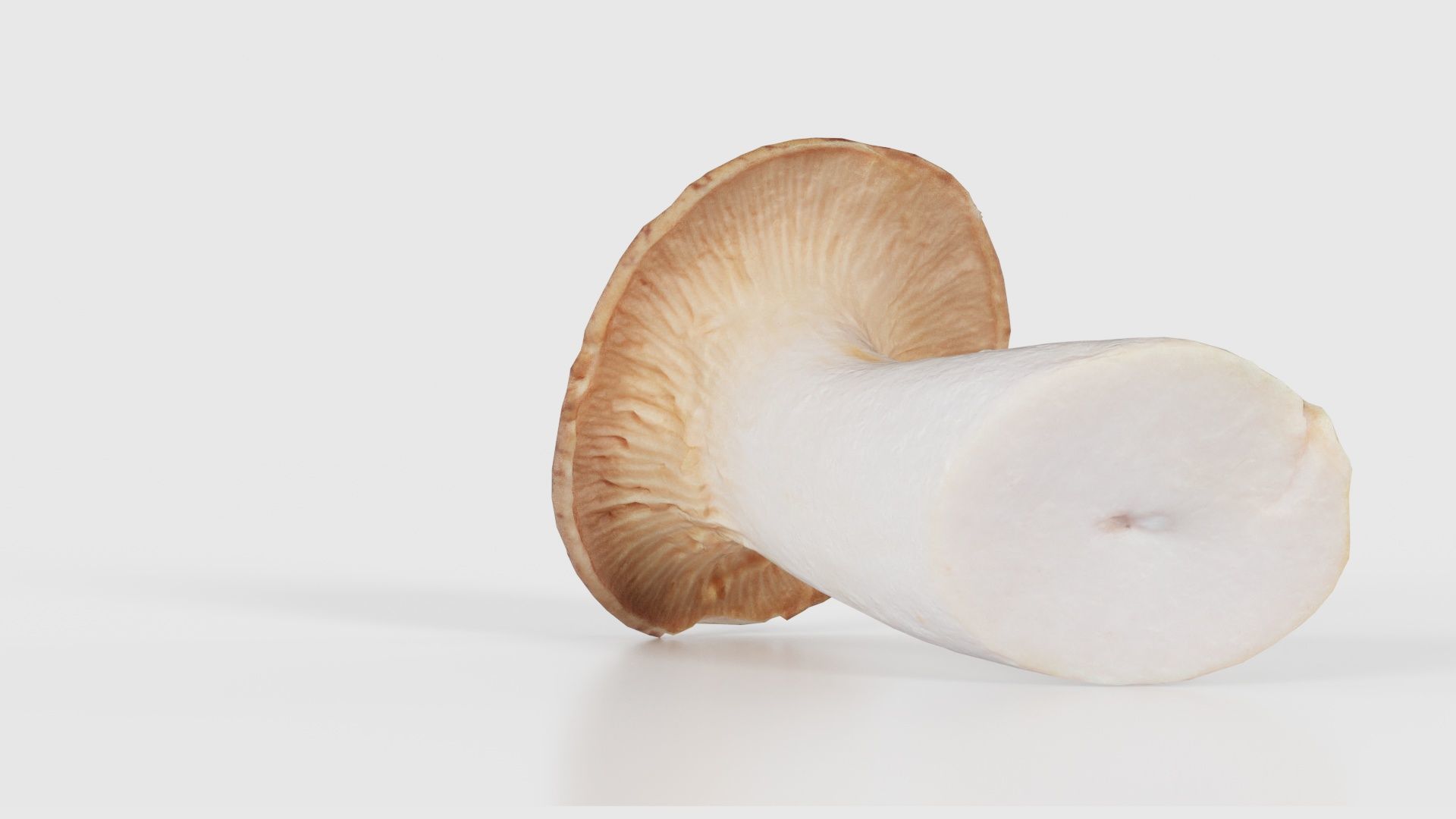 Mushroom Tall 2 Low-poly 3D model_18