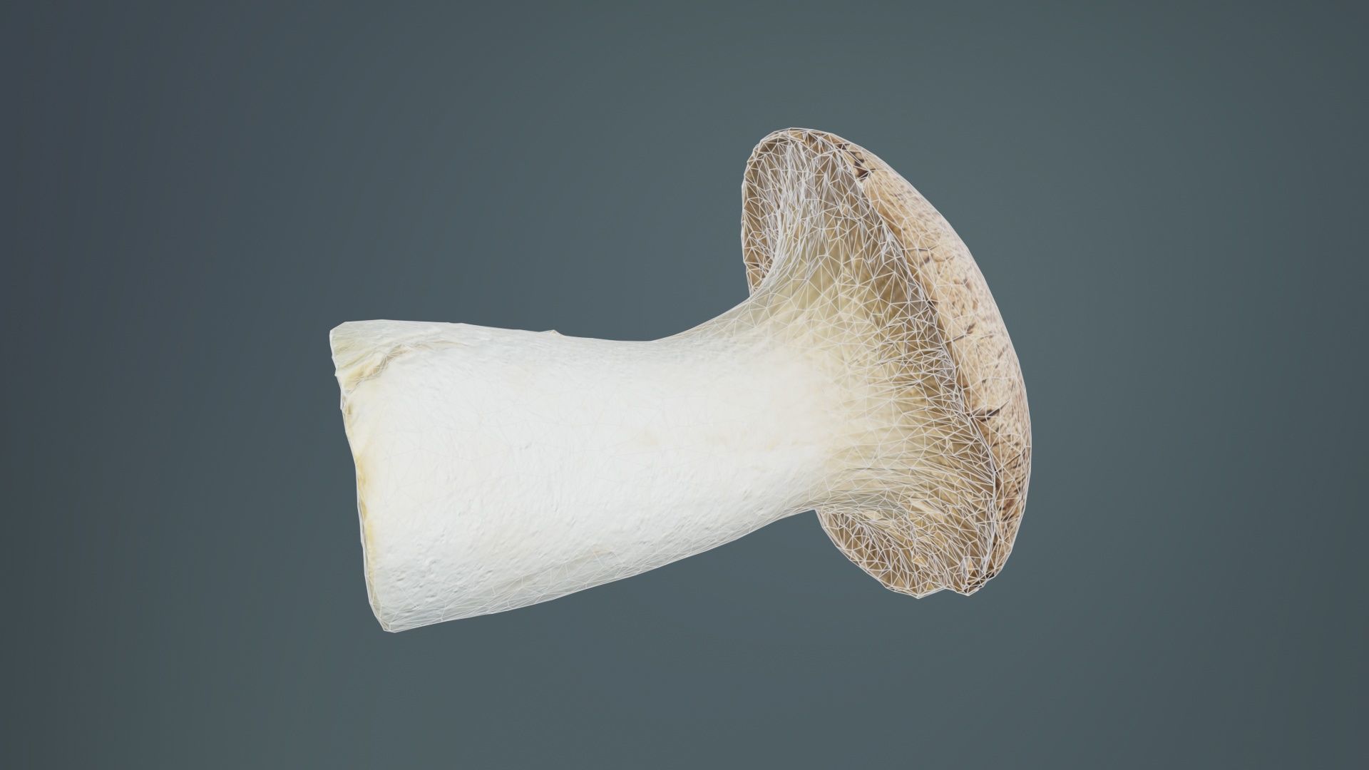 Mushroom Tall 2 Low-poly 3D model_9