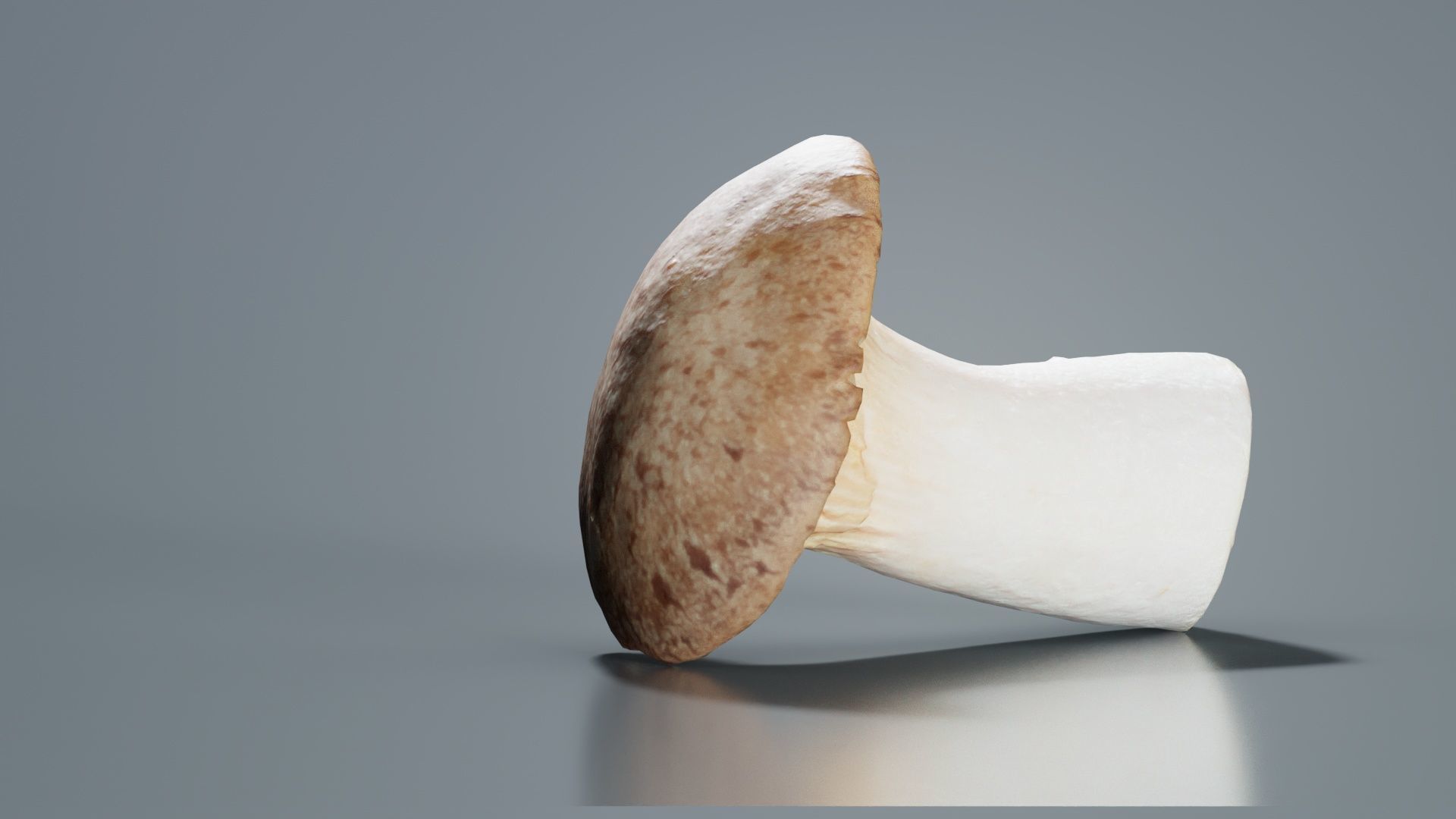 Mushroom Tall 2 Low-poly 3D model_1