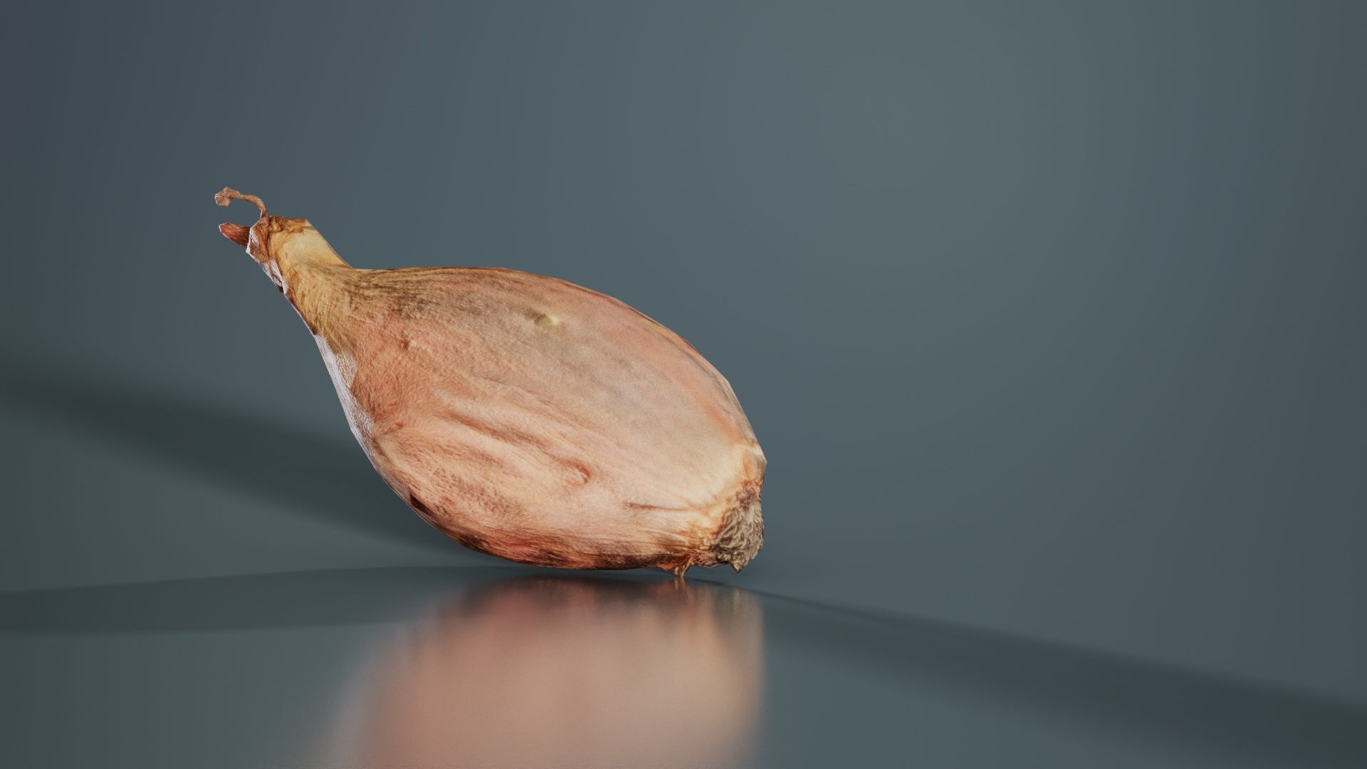 Onion Low-poly 3D model_8
