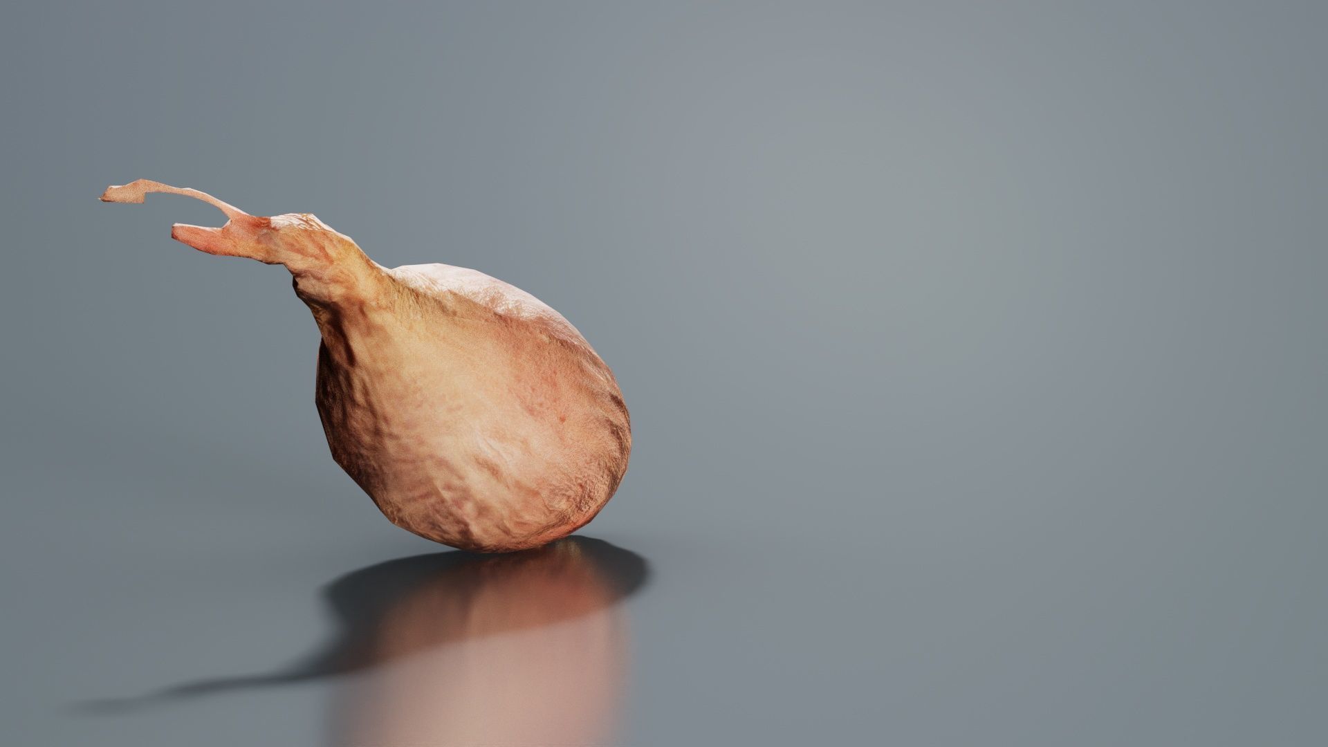 Onion Low-poly 3D model_3