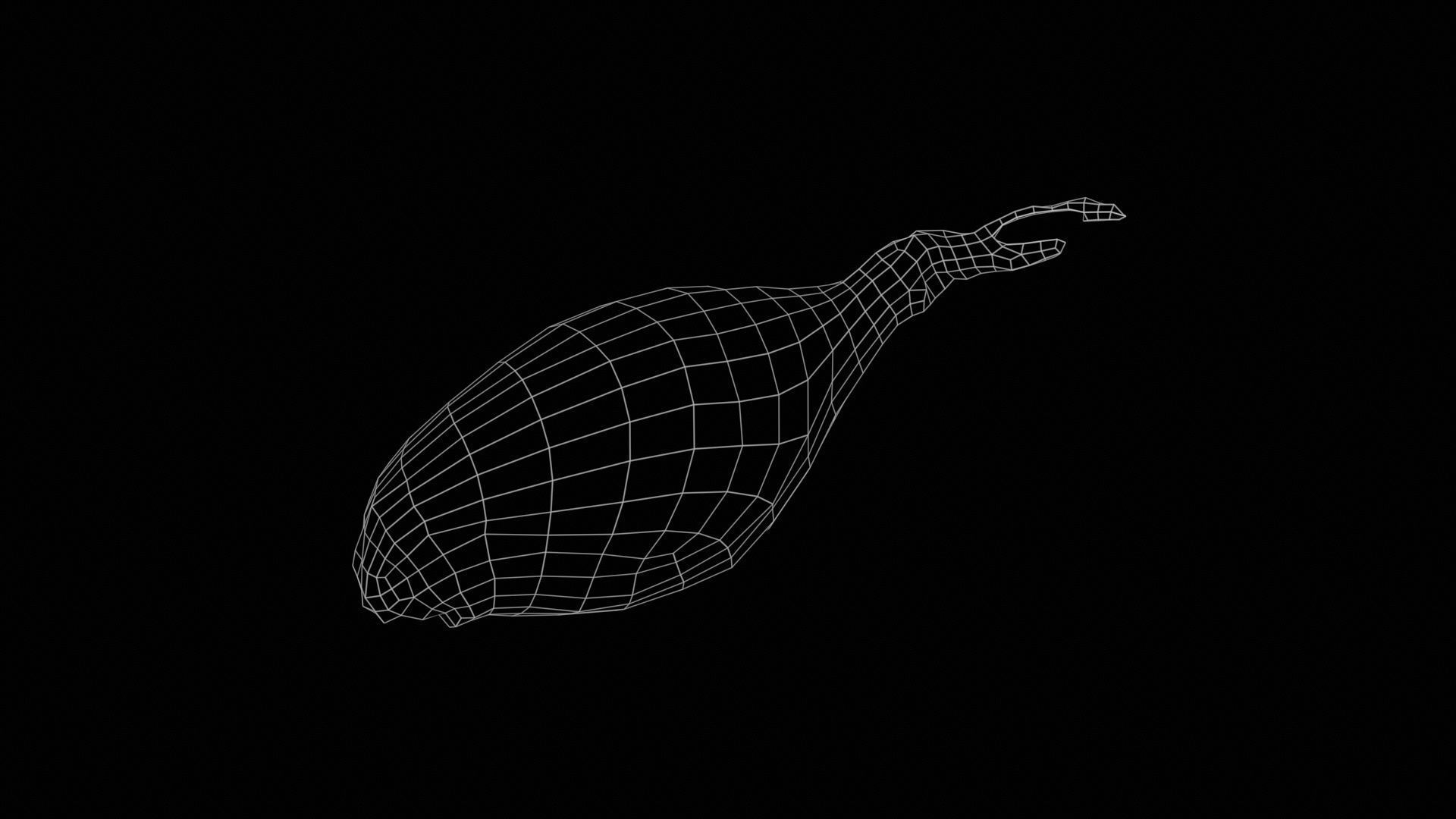 Onion Low-poly 3D model_11