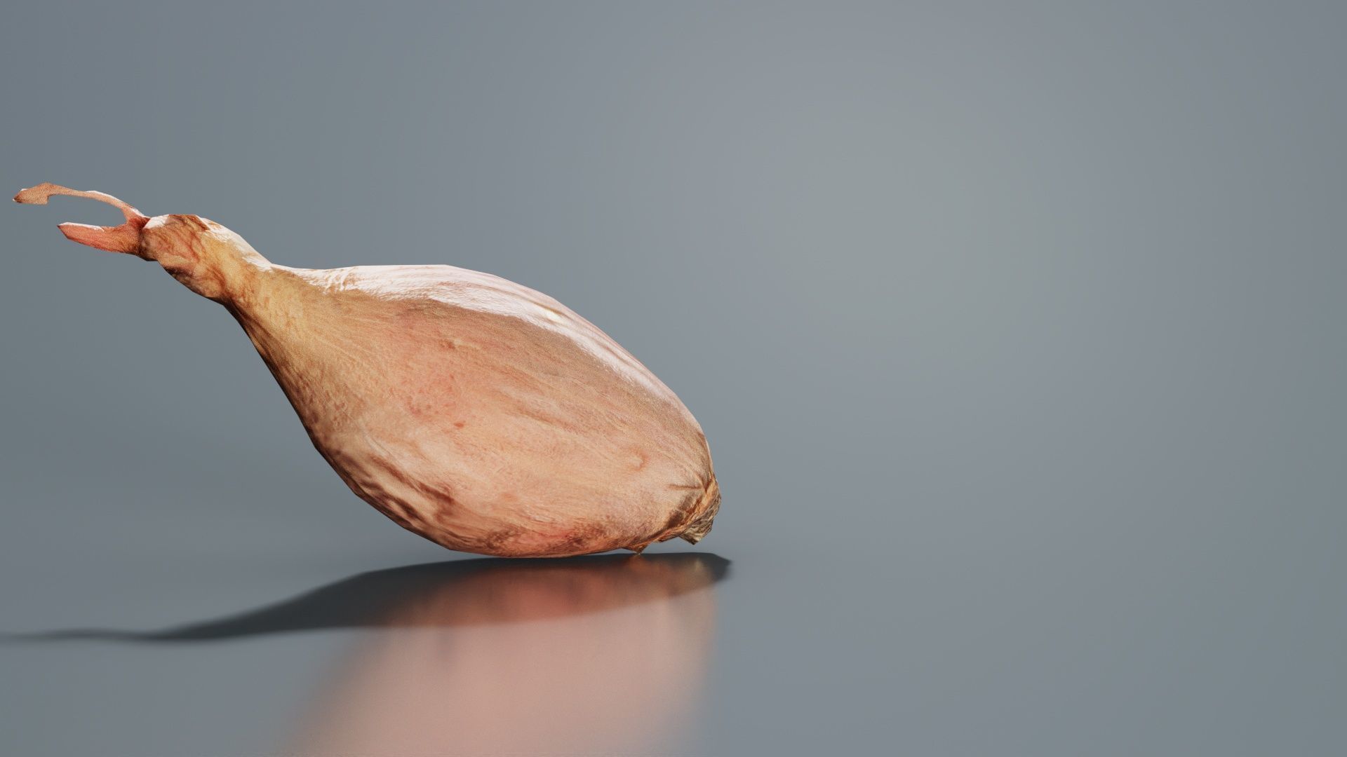 Onion Low-poly 3D model_7