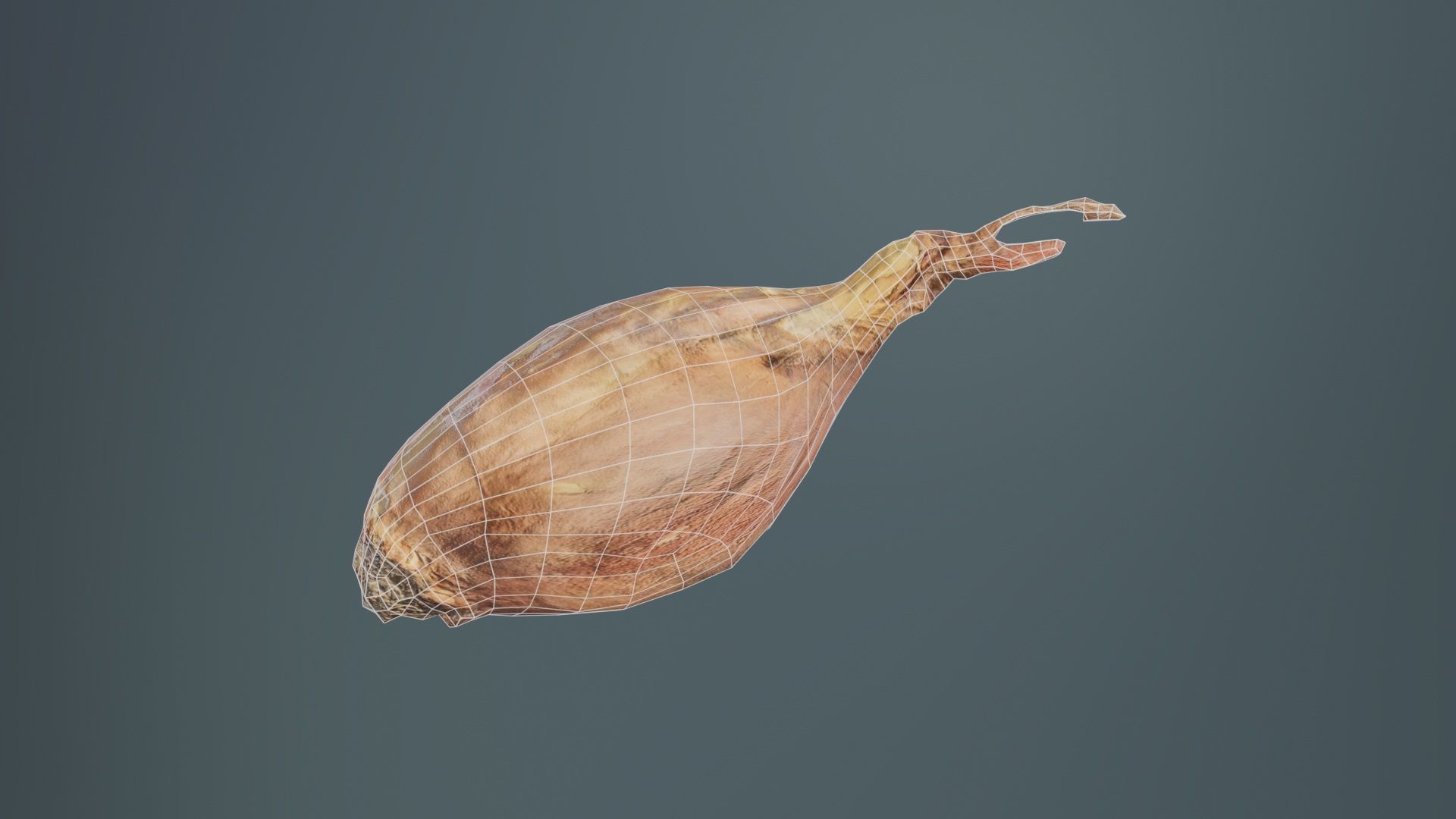 Onion Low-poly 3D model_9