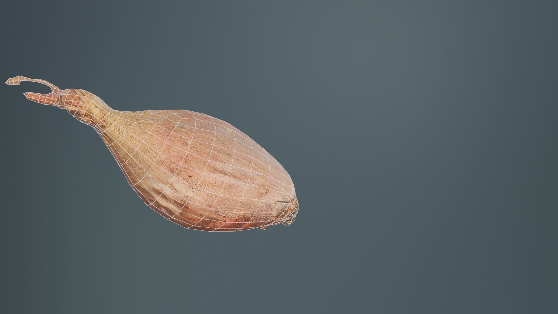 Onion Low-poly 3D model_10