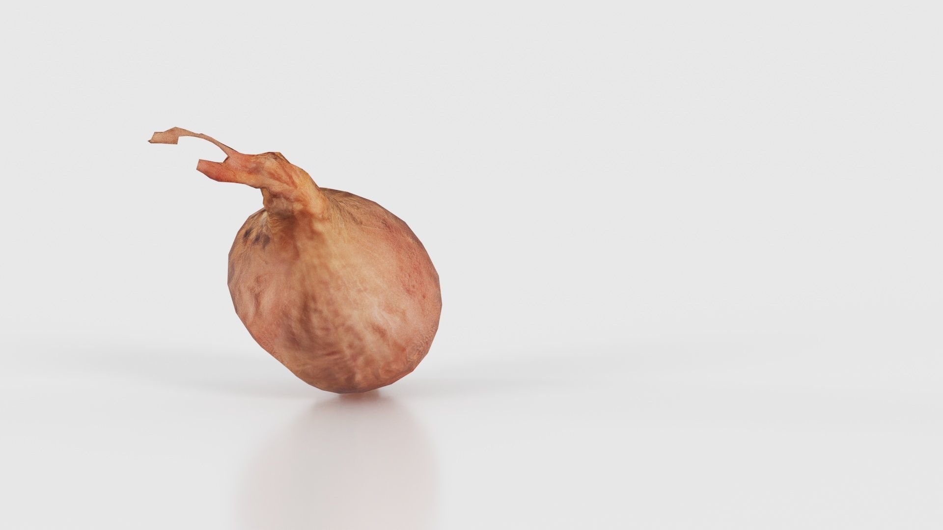 Onion Low-poly 3D model_23