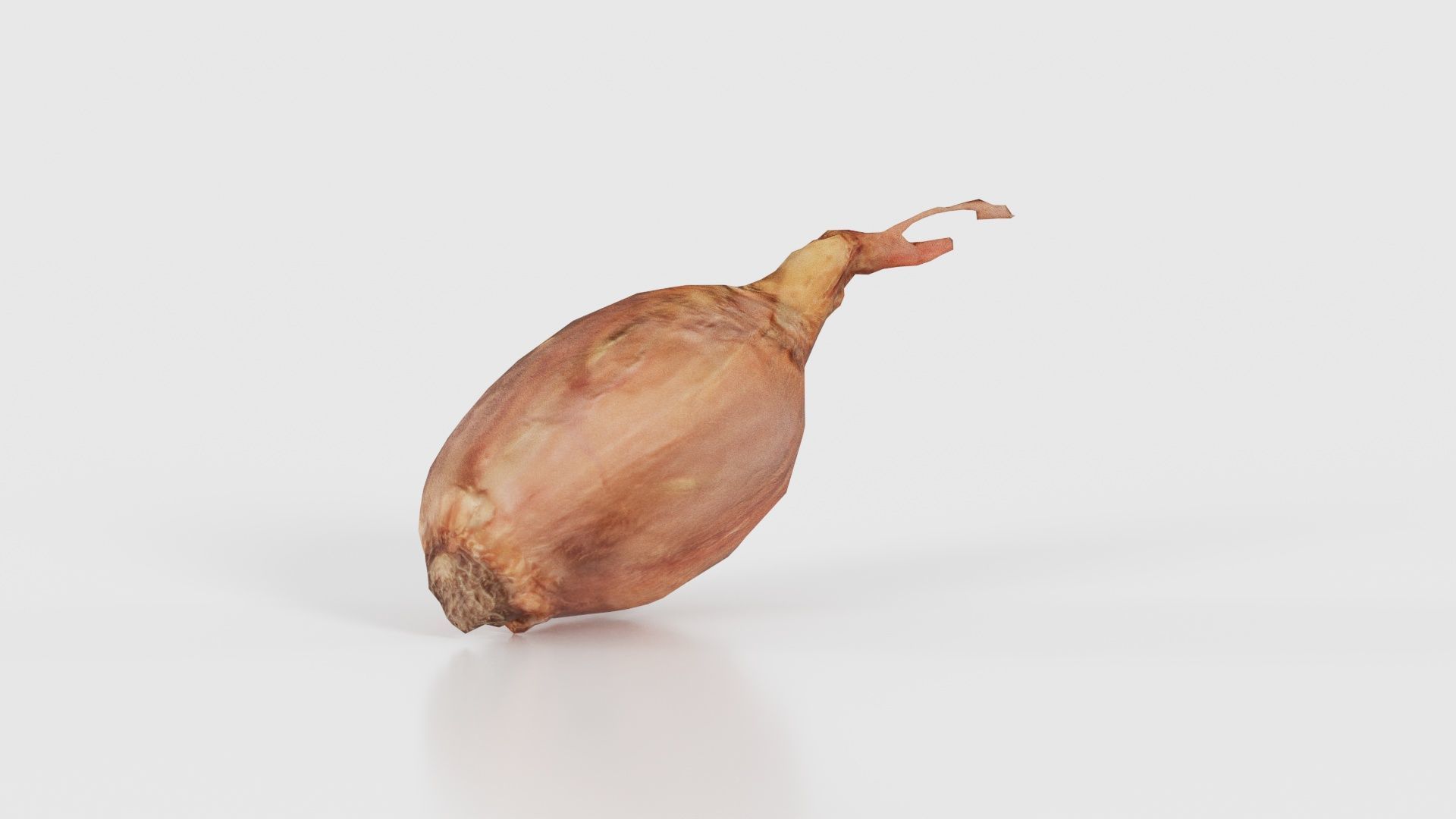 Onion Low-poly 3D model_16