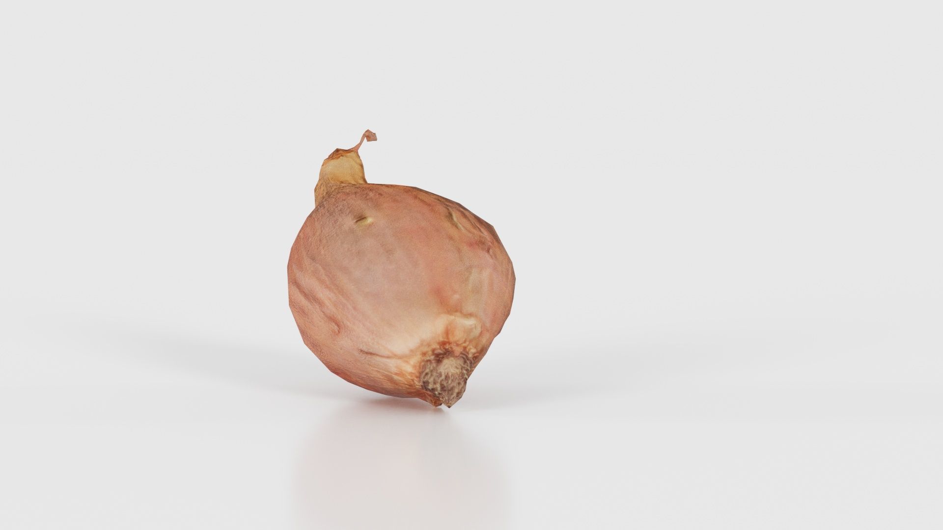 Onion Low-poly 3D model_18