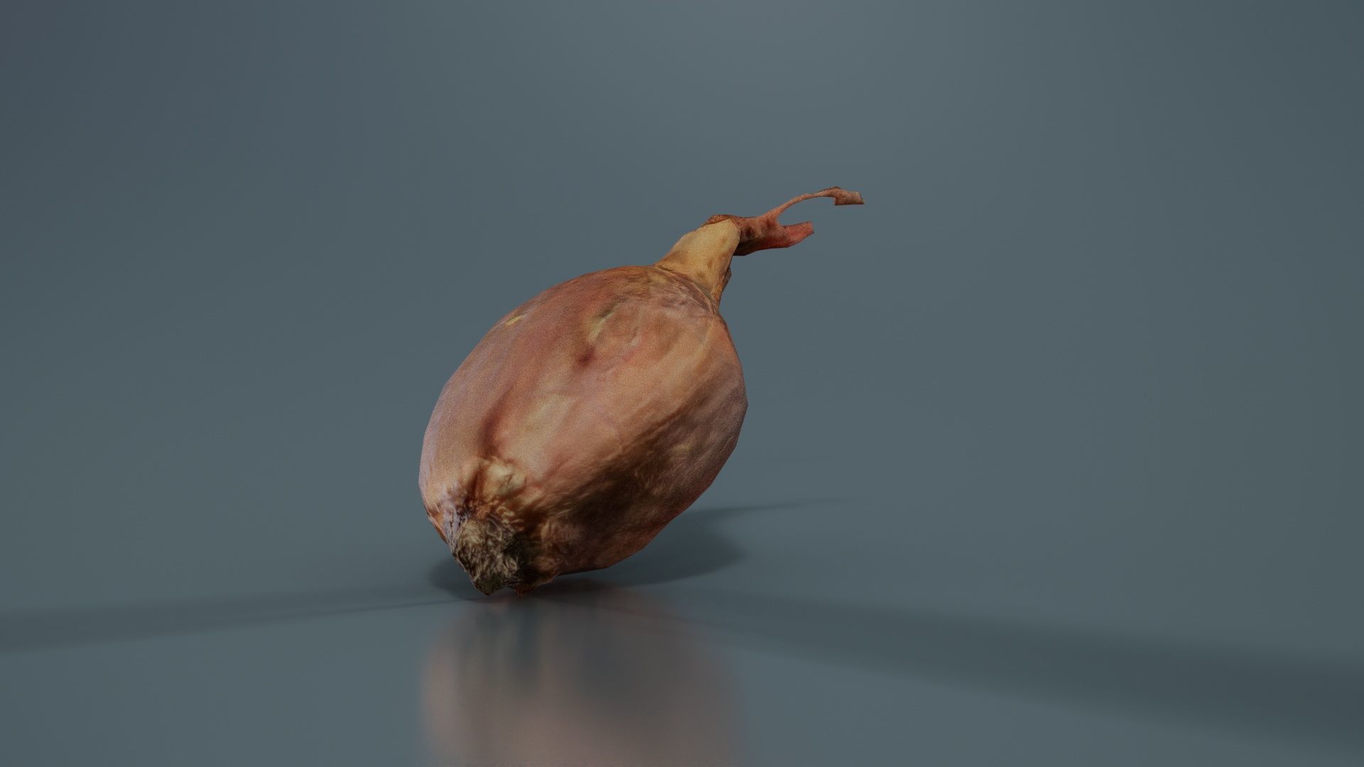 Onion Low-poly 3D model_1