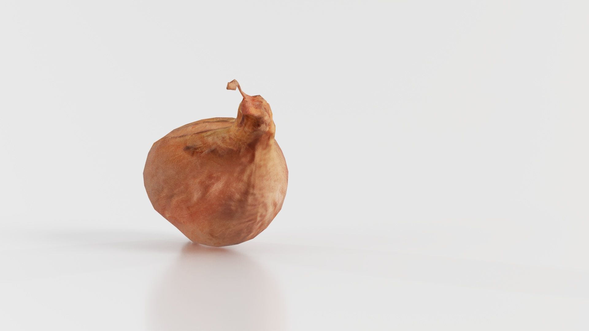 Onion Low-poly 3D model_5