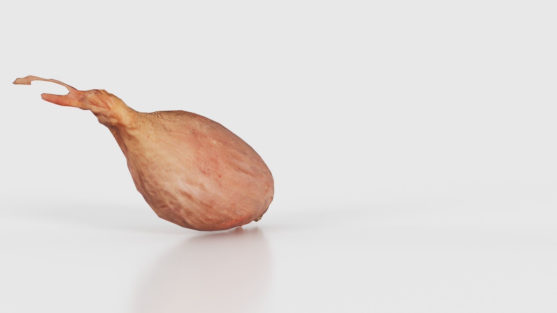 Onion Low-poly 3D model_22