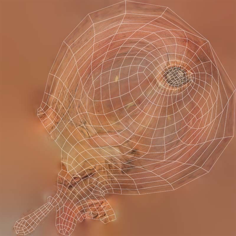 Onion Low-poly 3D model_14