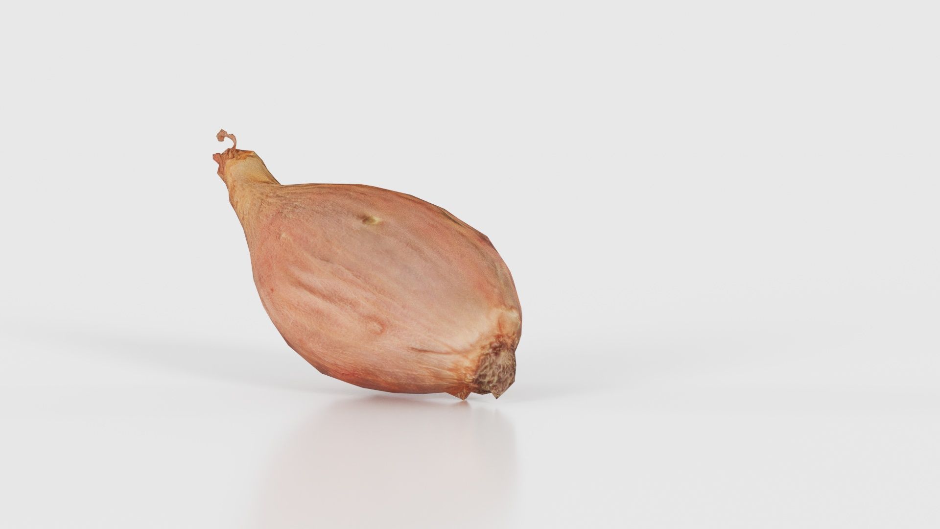 Onion Low-poly 3D model_19