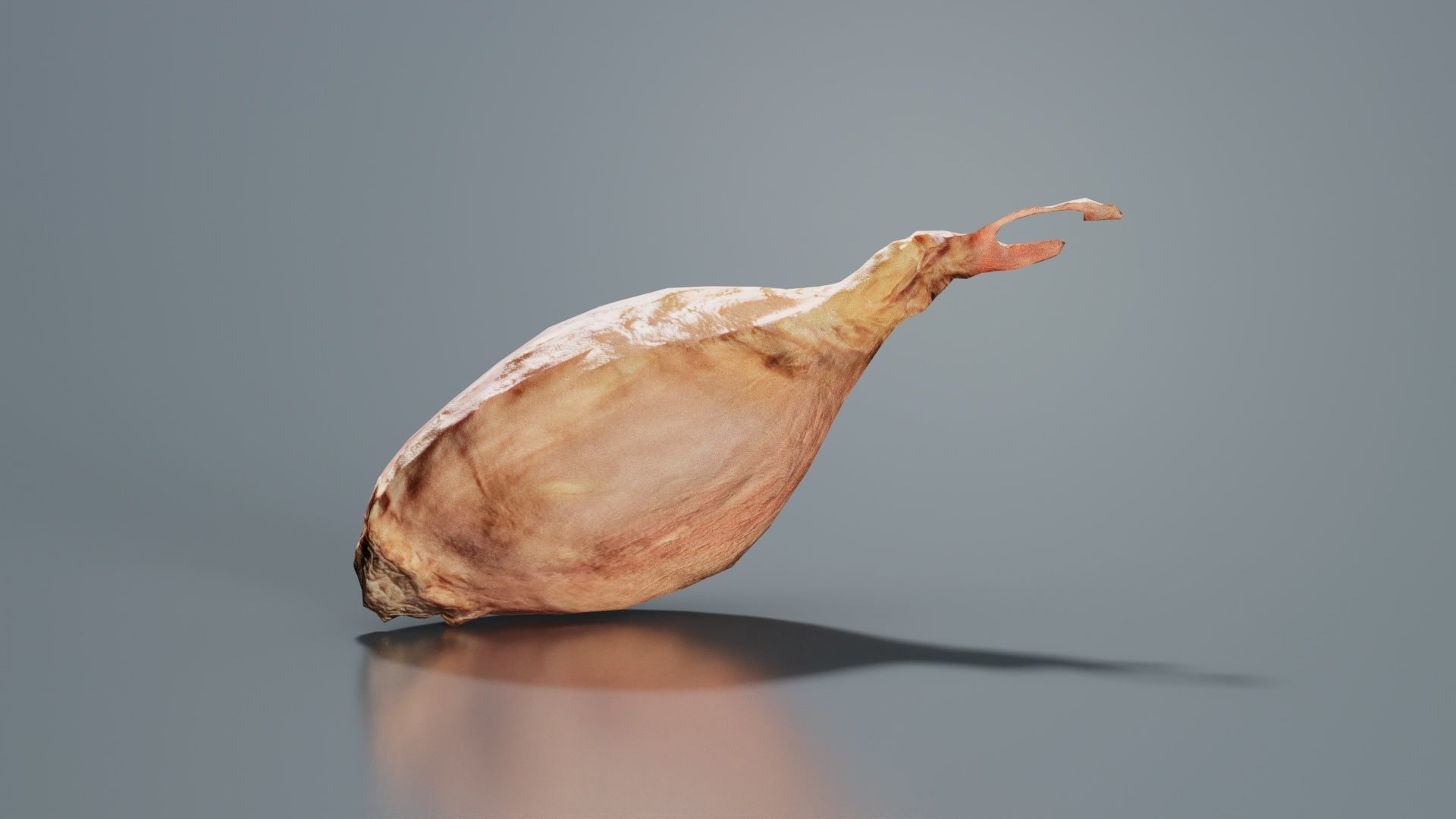 Onion Low-poly 3D model_6