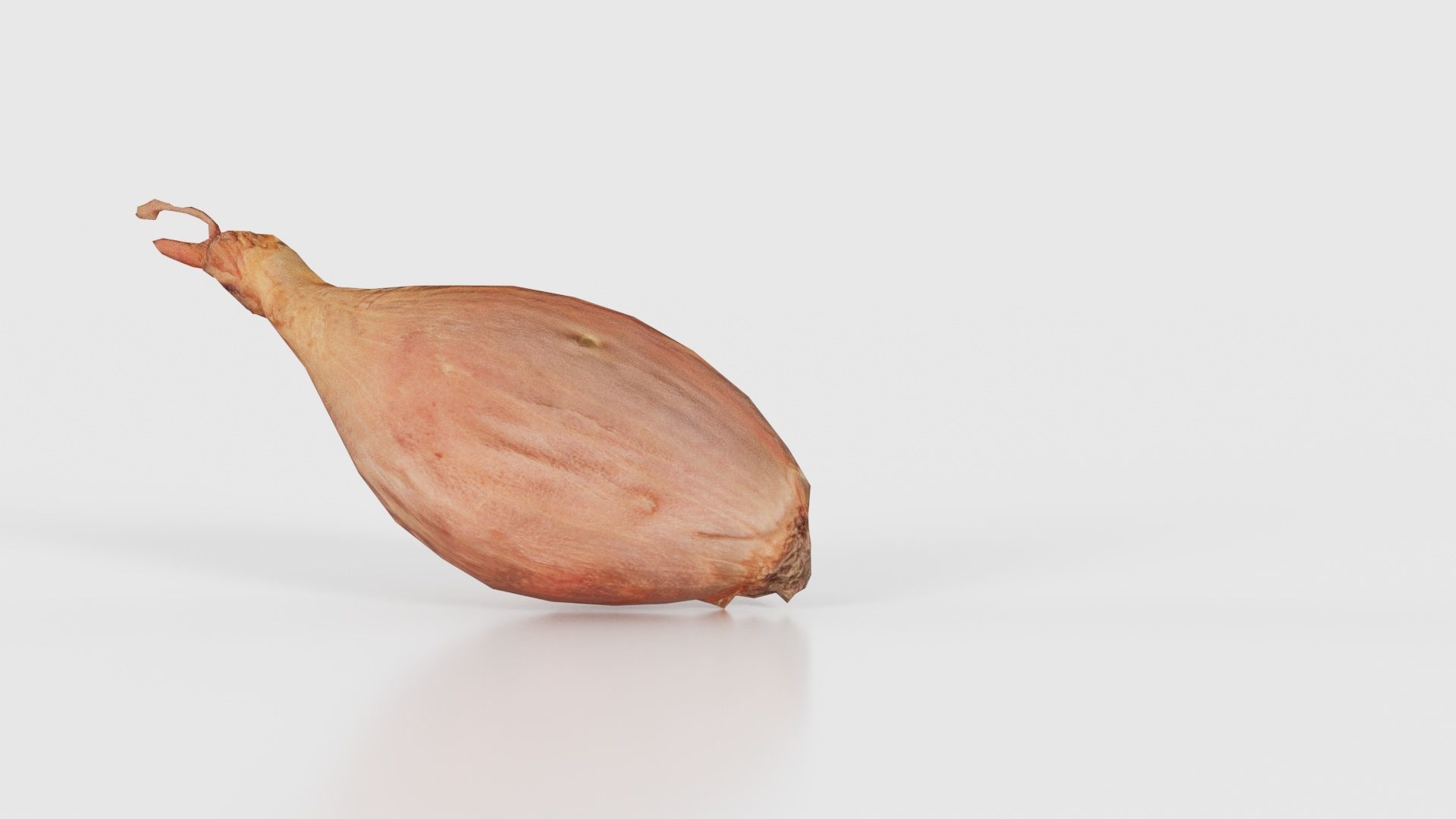 Onion Low-poly 3D model_20