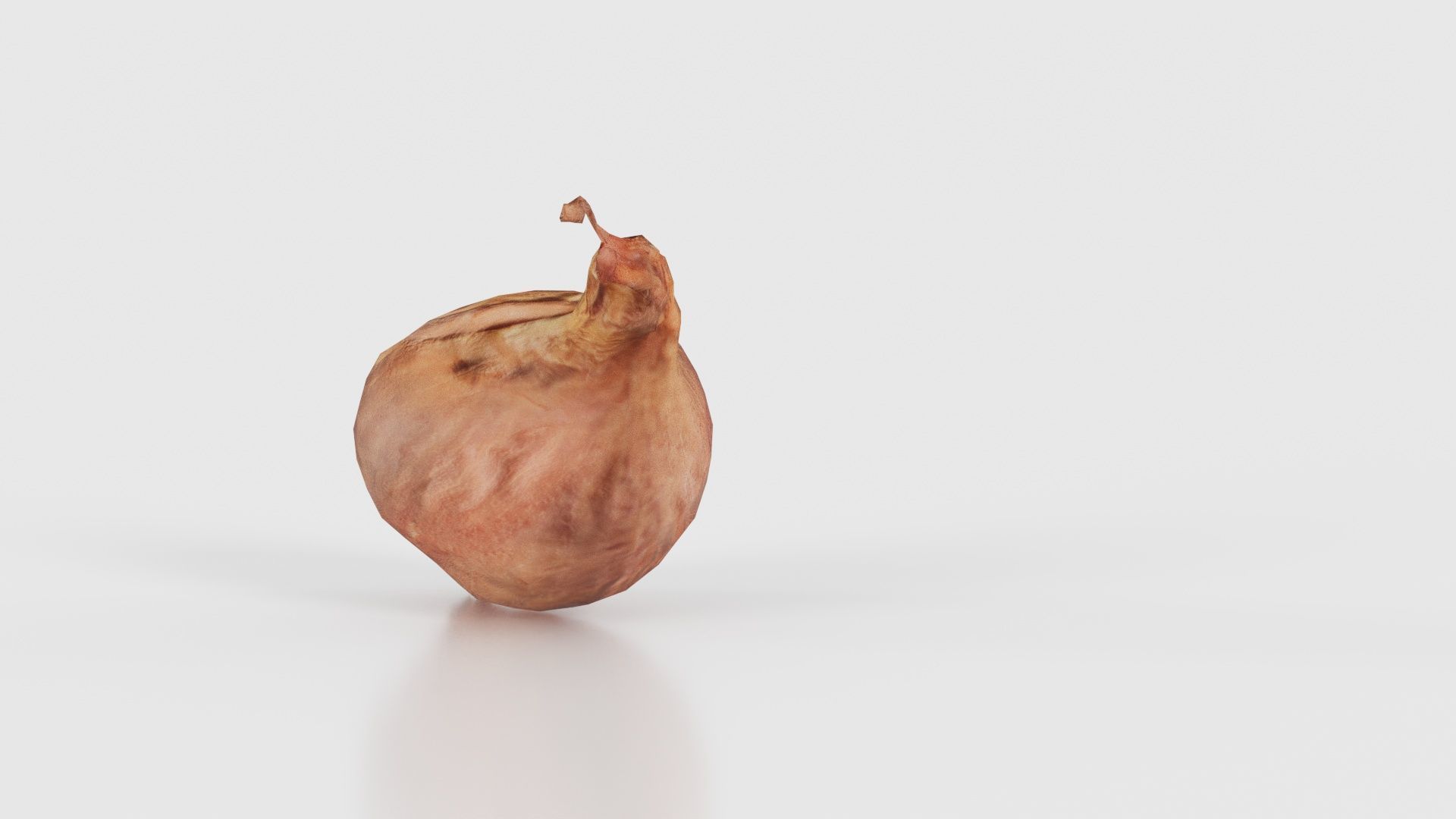 Onion Low-poly 3D model_24