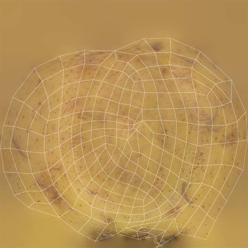 Potato Low-poly 3D model_14