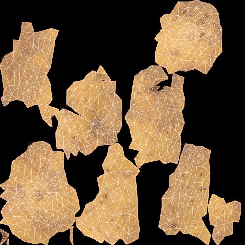 Potato 2 Low-poly 3D model_14