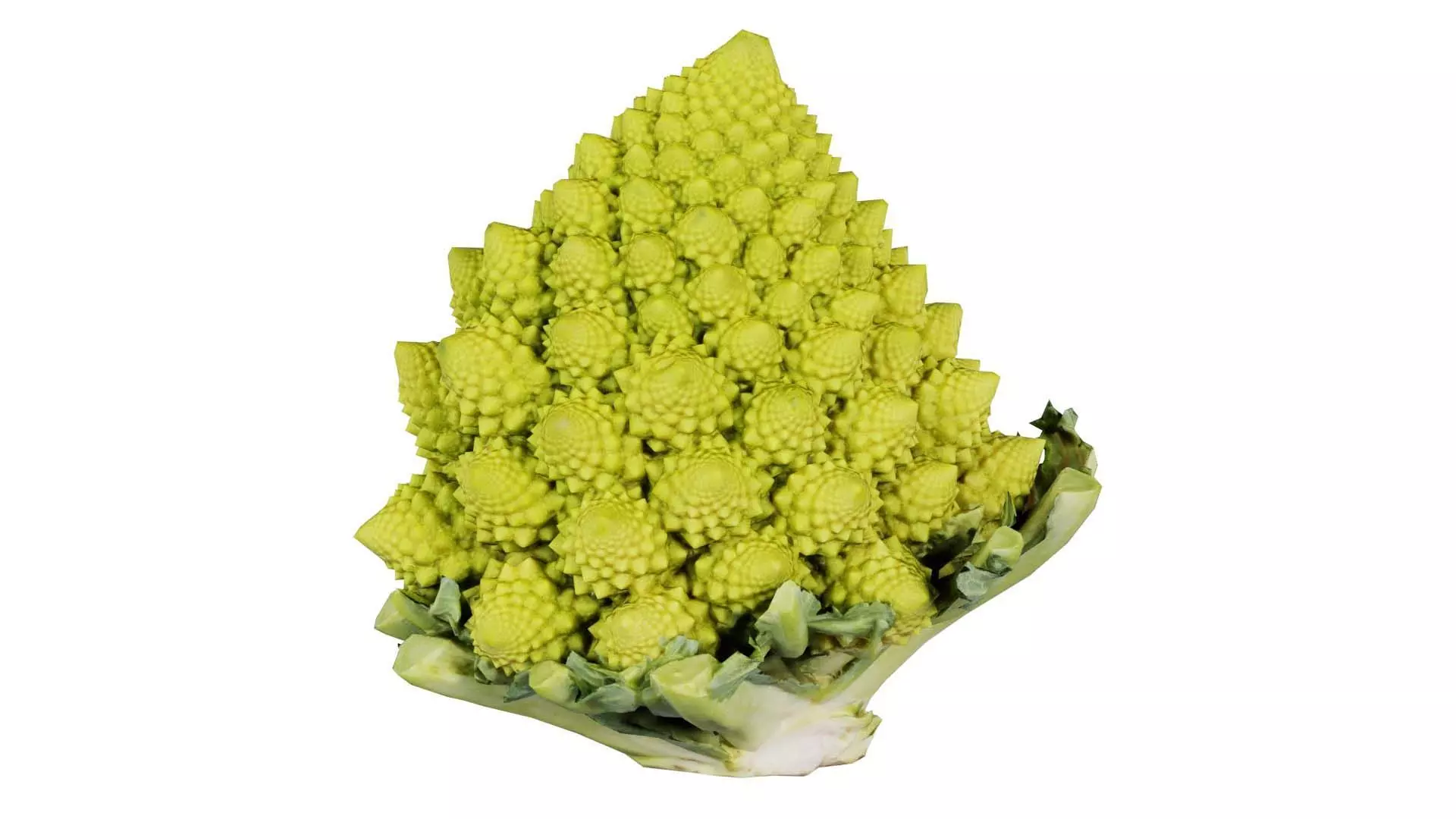 Romanesco Low-poly 3D model