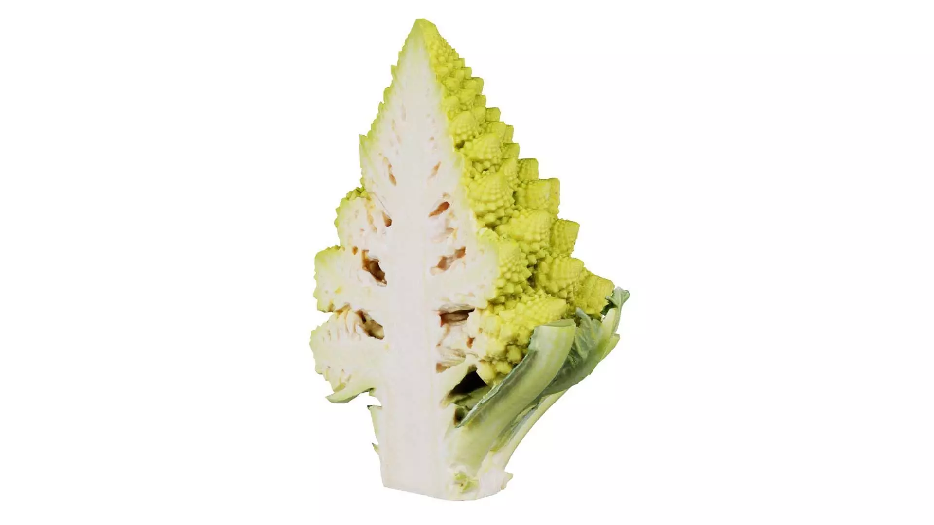 Romanesco Half 1 Low-poly 3D model