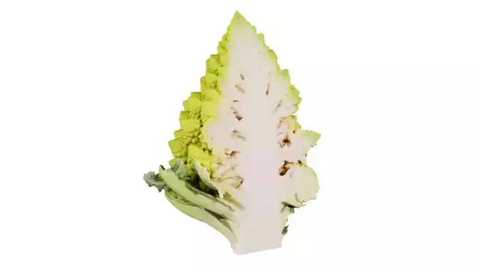 Romanesco Half 2