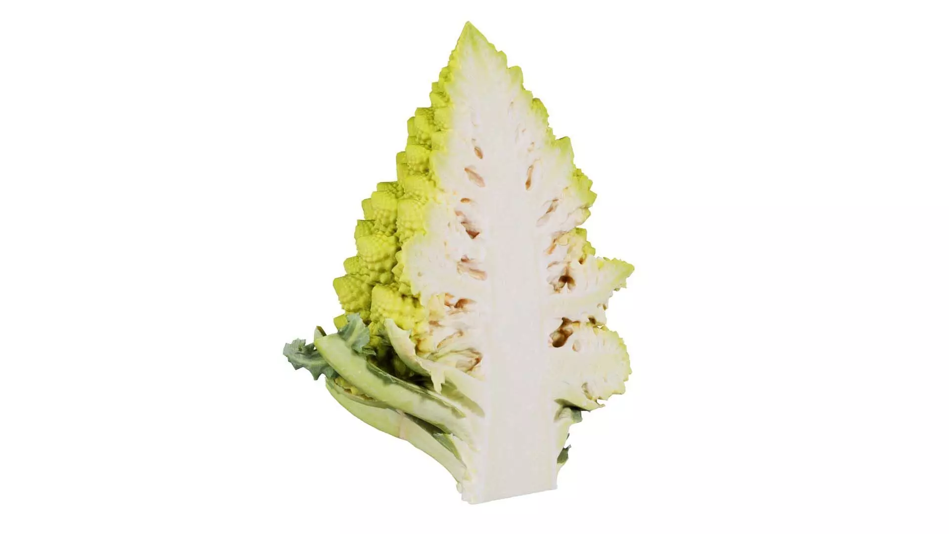 Romanesco Half 2 Low-poly 3D model