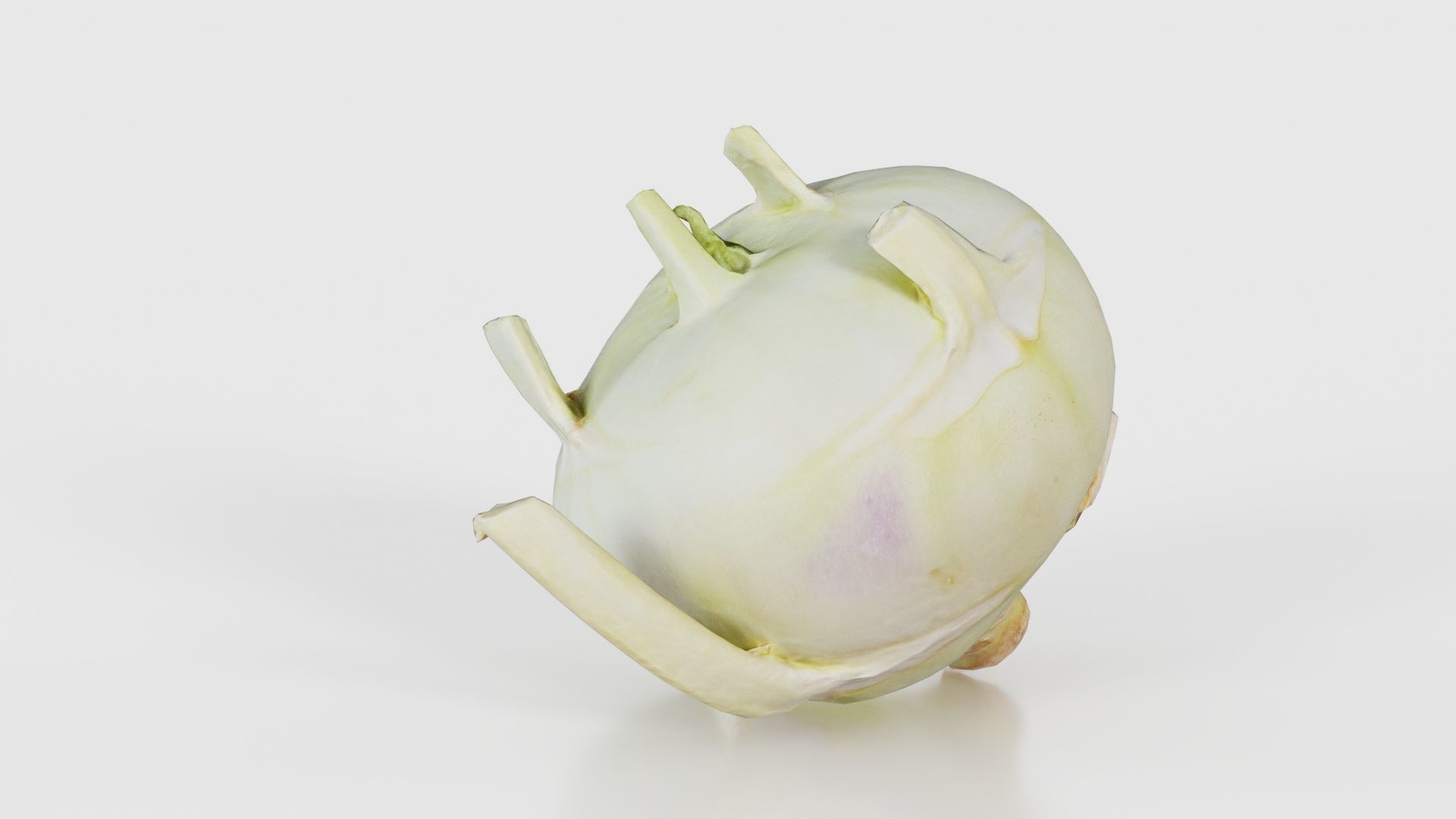 Salad Low-poly 3D model_17