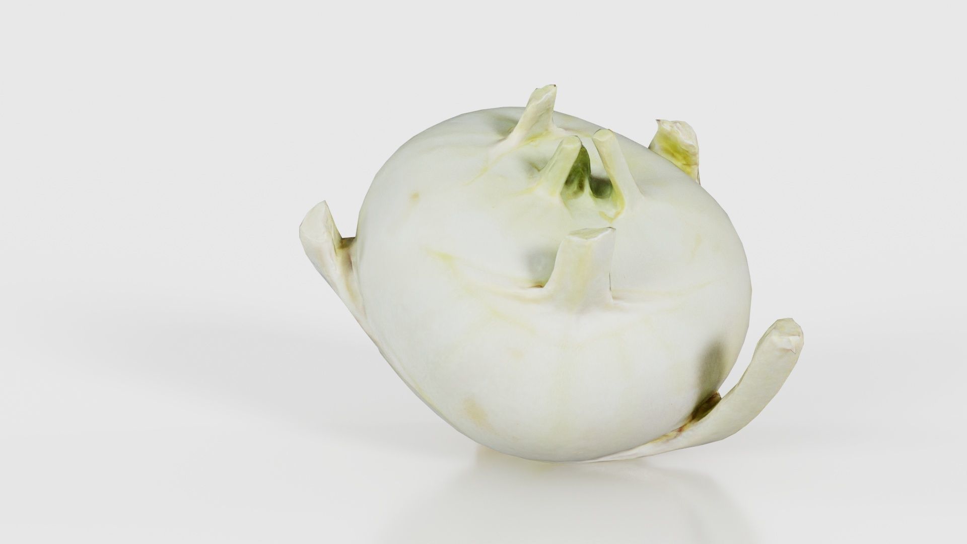 Salad Low-poly 3D model_20