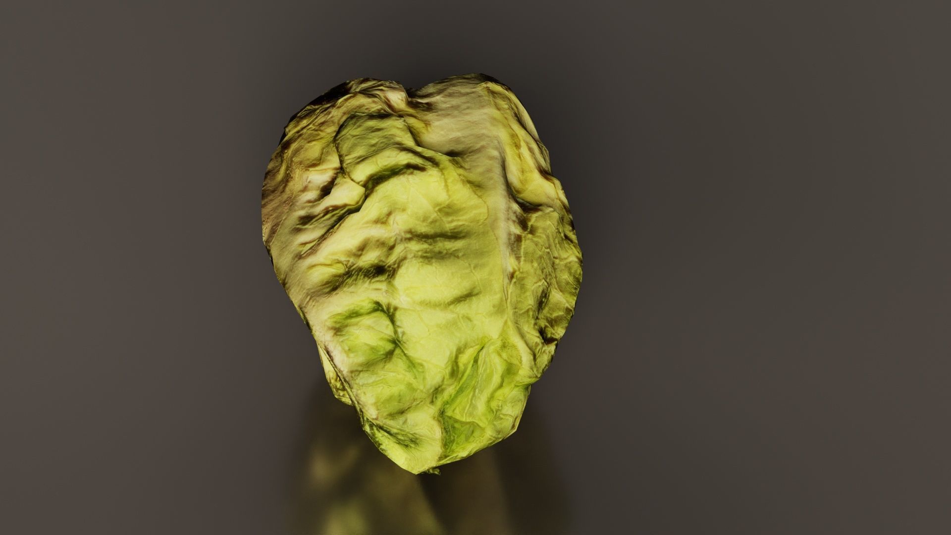 Salad 2 Low-poly 3D model_4