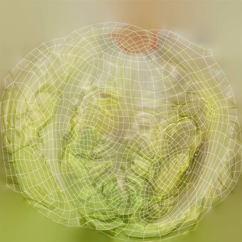 Salad 2 Low-poly 3D model_14