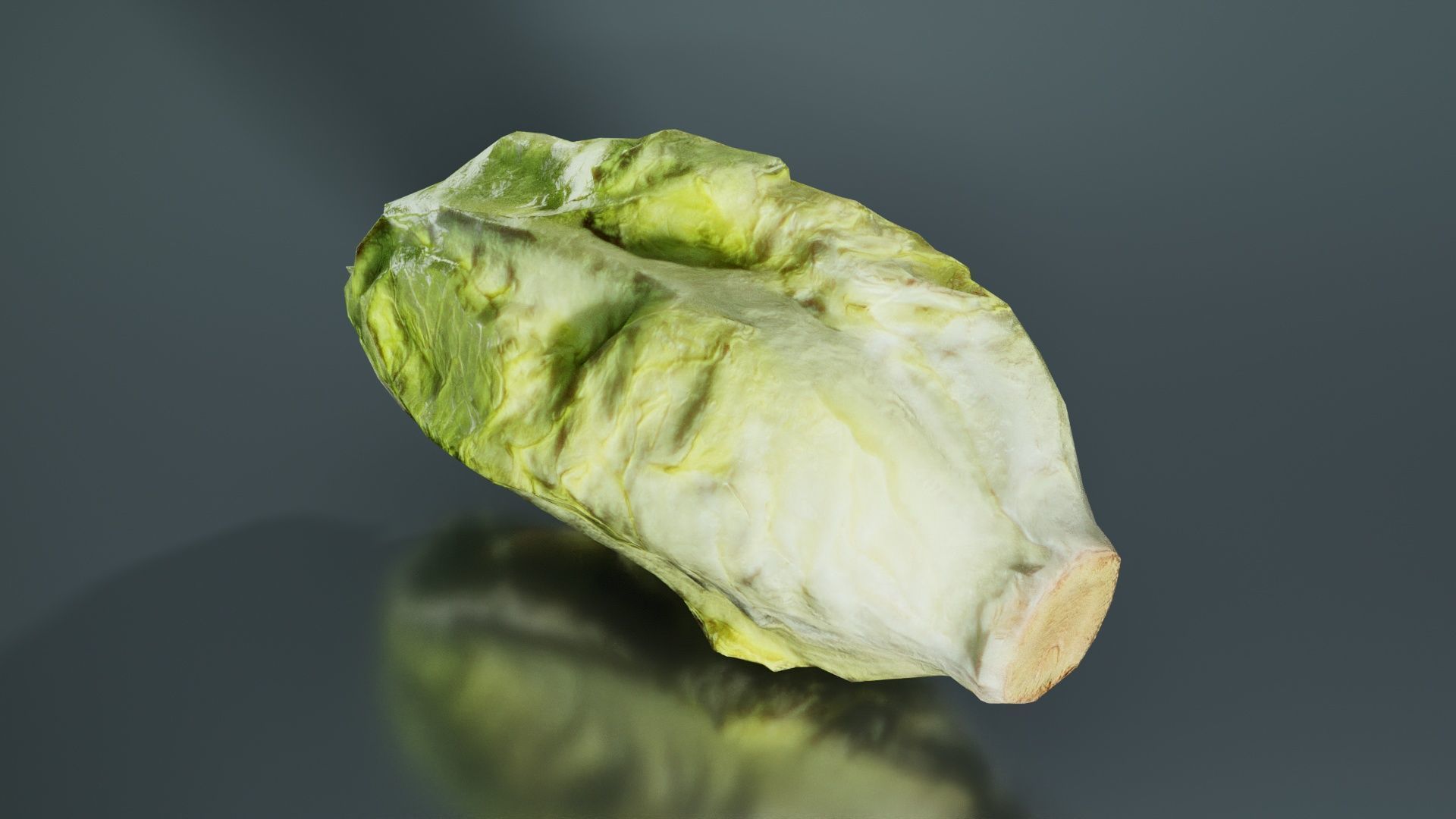 Salad 2 Low-poly 3D model_5