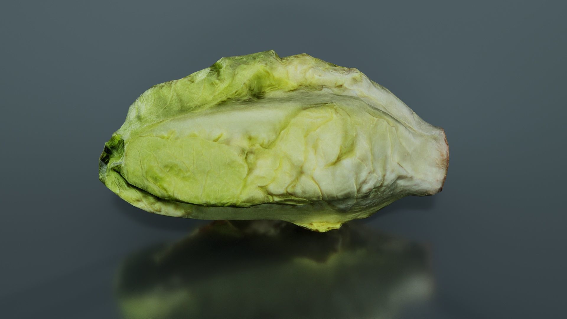 Salad 2 Low-poly 3D model_3