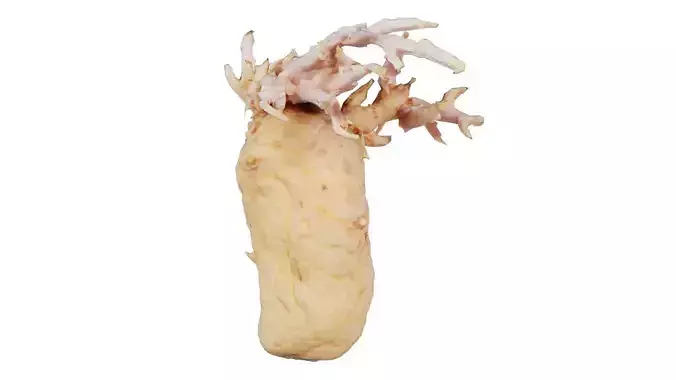 Shriveled Potatoe 1 Low-poly 3D model