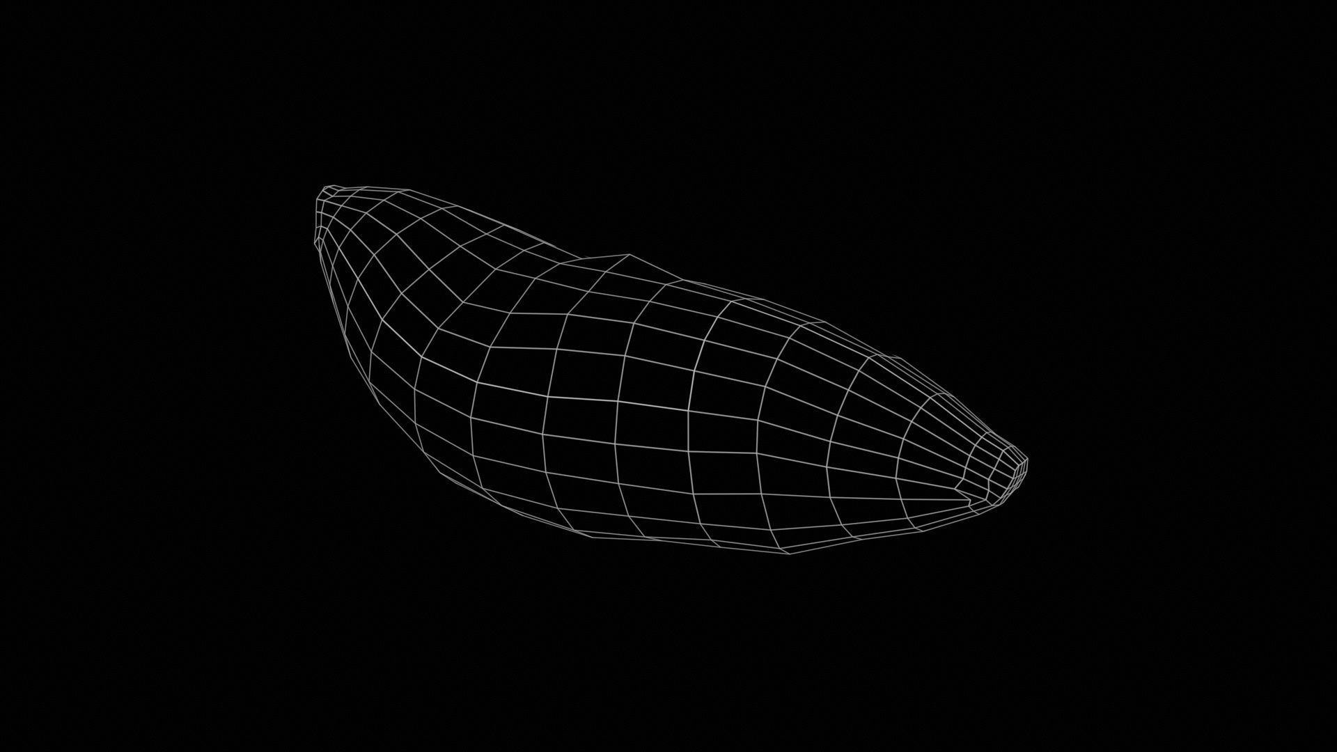 Sweet Potato Low-poly 3D model_11