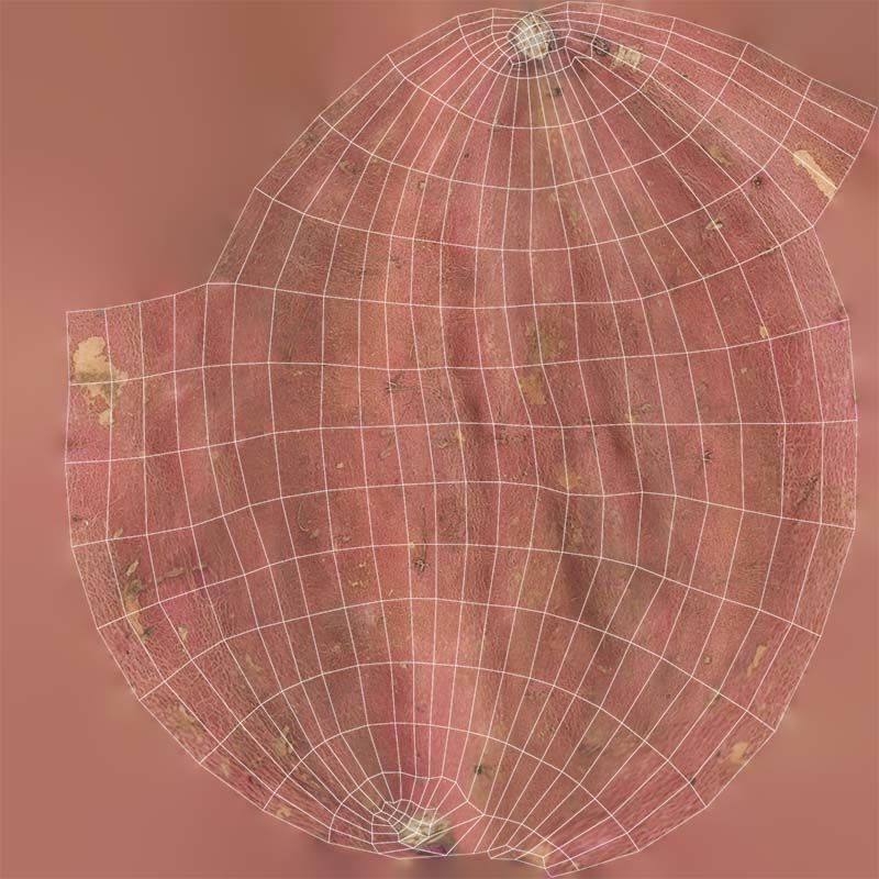 Sweet Potato Low-poly 3D model_14