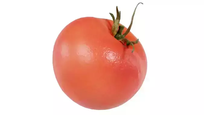 Tomato