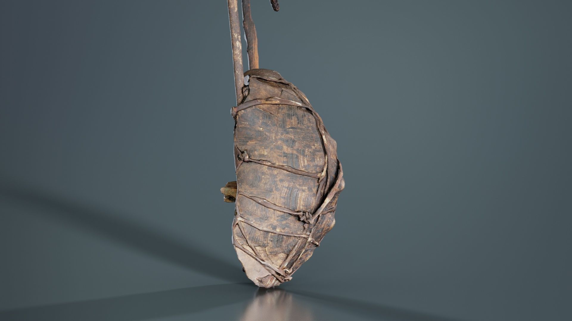 Turtle Guitar Low-poly 3D model_8